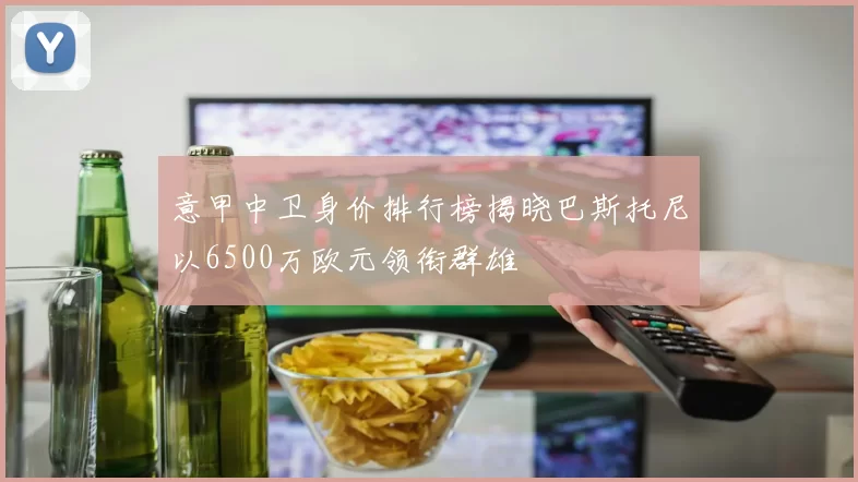 意甲中卫身价排行榜揭晓巴斯托尼以6500万欧元领衔群雄
